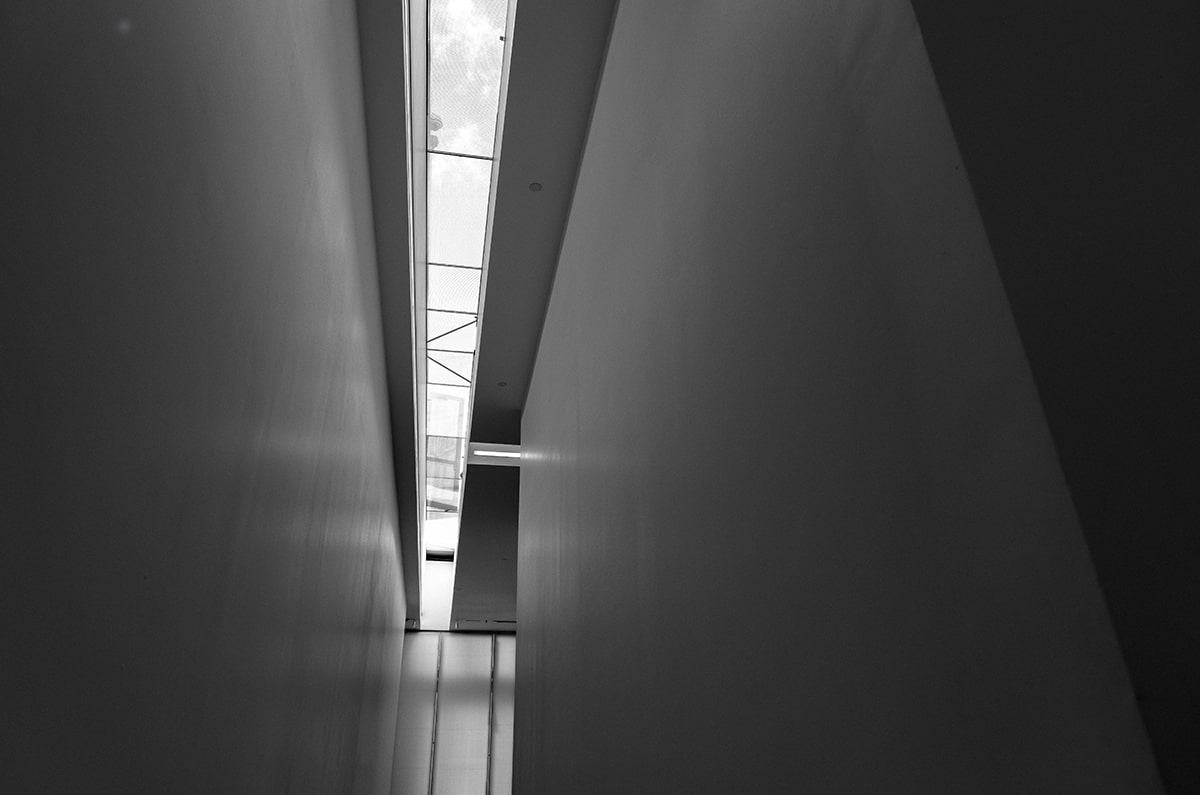 如果你只看每日大赛今日一次，就把策略看懂：我突然理解了太会了，结局比你想的更轻（新手向）